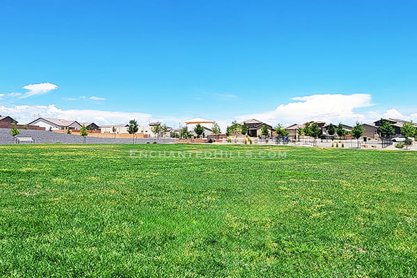 Grass field at Bullseye Park