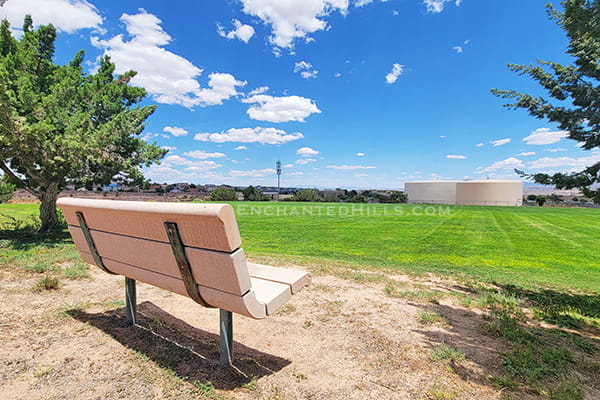 Park bench with park in background